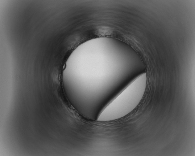 X0000088390763200705220801