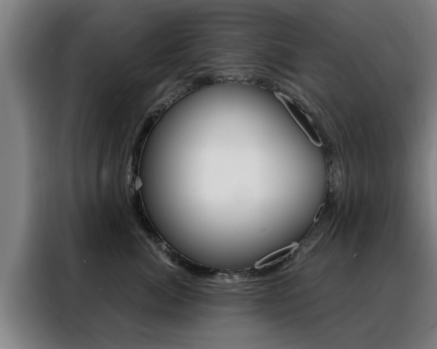 X0000088390764200705220801