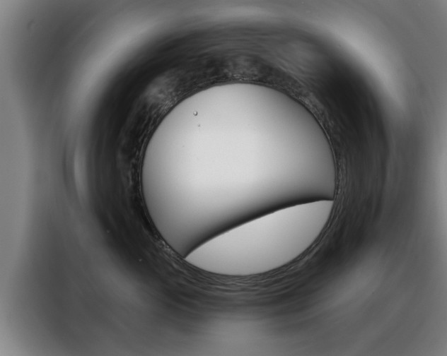 X0000088390765200705220801