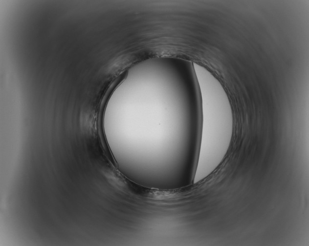 X0000088390766200705220801