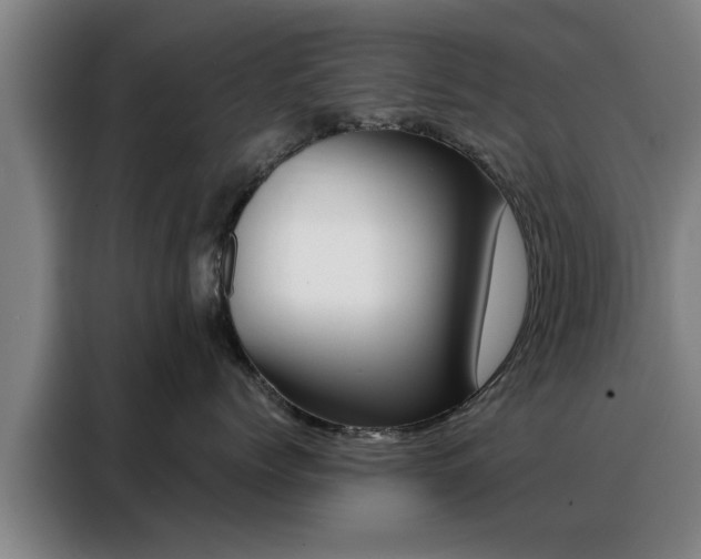 X0000088390768200705220801