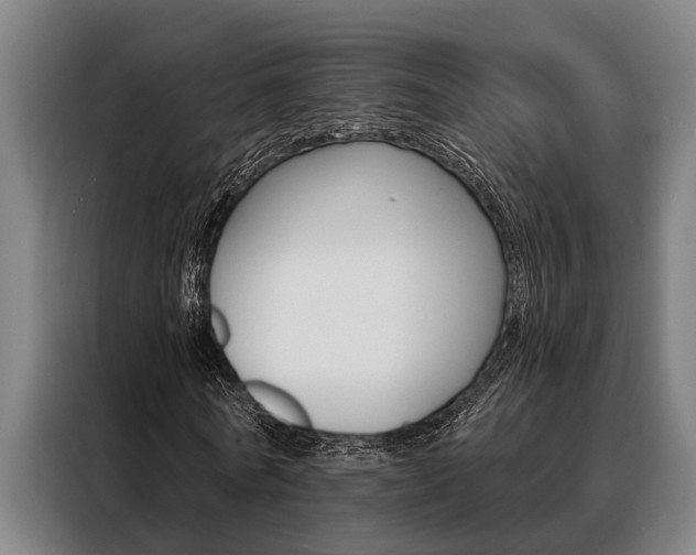 X0000088390770200705220800