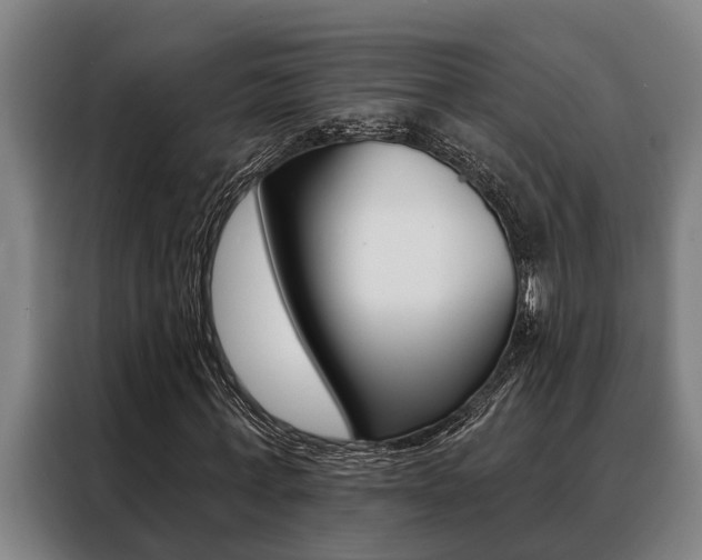 X0000088390771200705220800