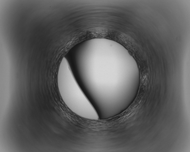 X0000088390772200705220800