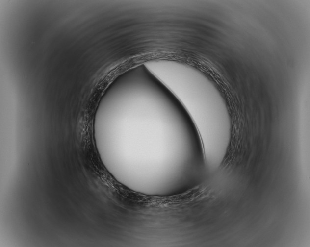 X0000088390773200705220800