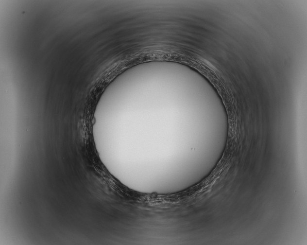 X0000088390774200705220800