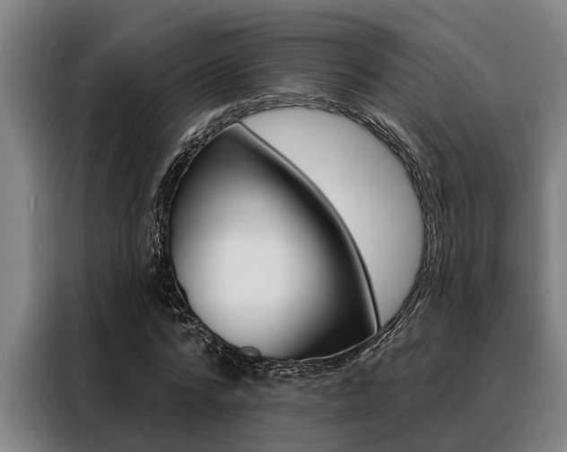 X0000088390776200705220800