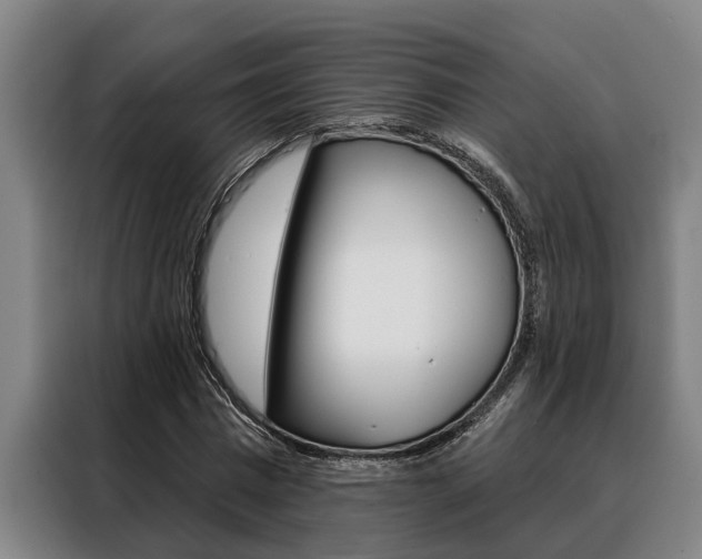 X0000088390777200705220800