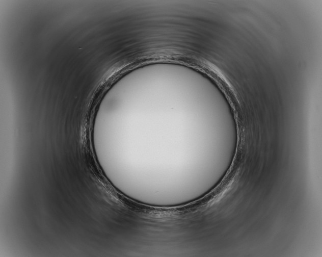 X0000088390778200705220800