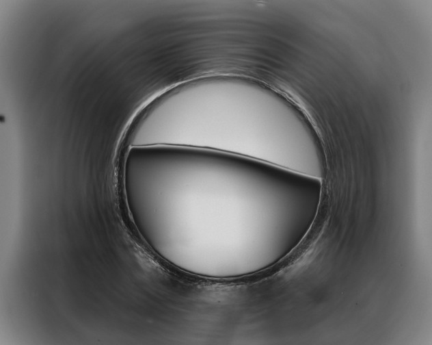 X0000088390779200705220800