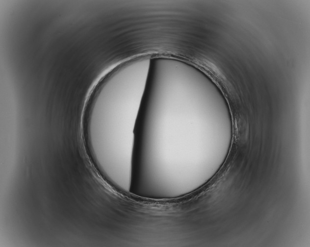 X0000088390780200705220800
