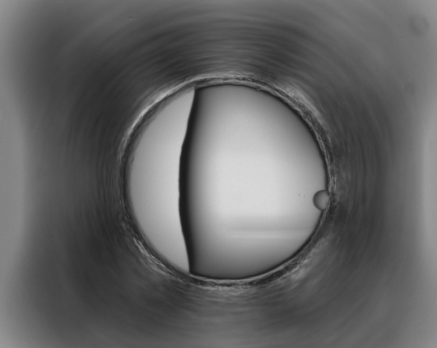 X0000088390781200705220800