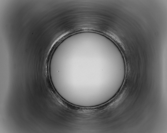 X0000088390782200705220800