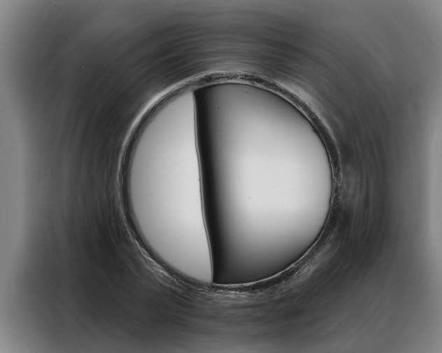 X0000088390783200705220800