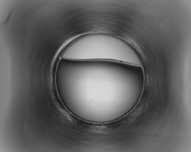X0000088390784200705220800