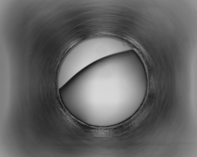 X0000088390785200705220800