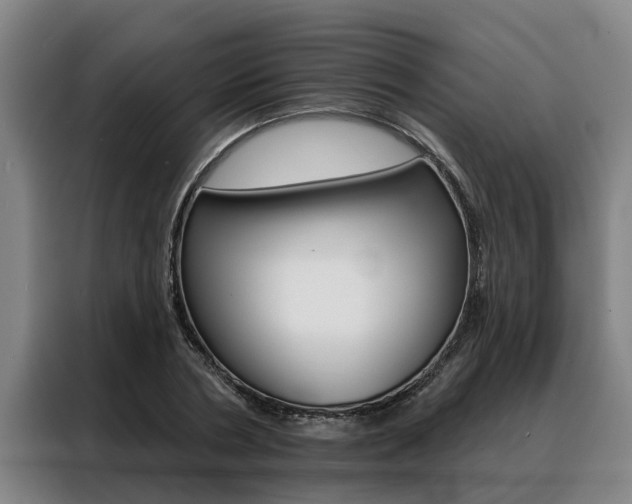 X0000088390786200705220800