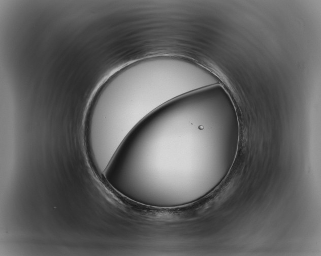 X0000088390787200705220800