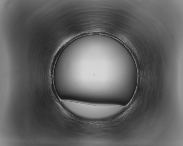 X0000088390789200705220800