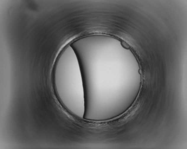 X0000088390790200705220800