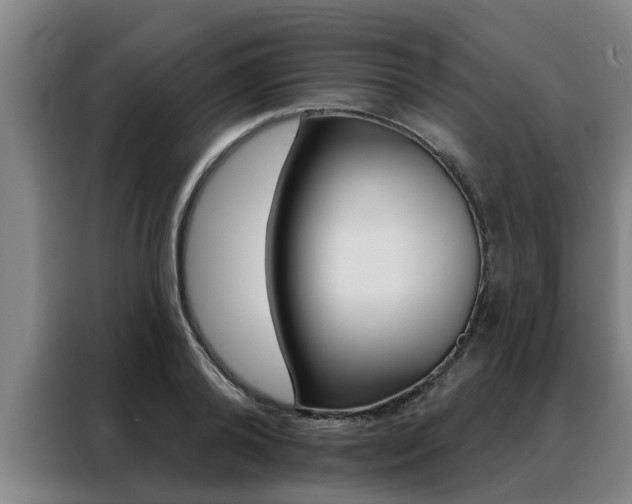X0000088390792200705220800