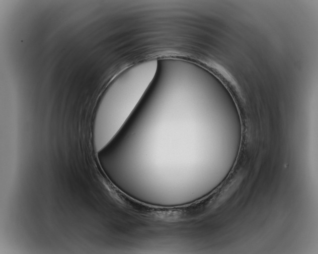X0000088390793200705220800
