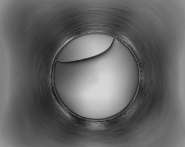 X0000088390794200705220800