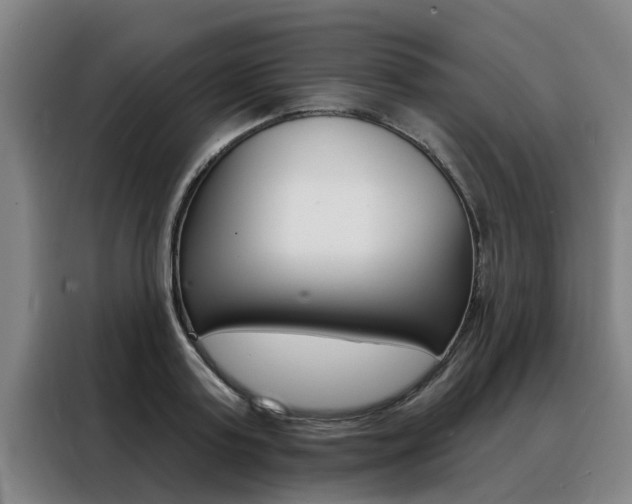 X0000088390795200705220800