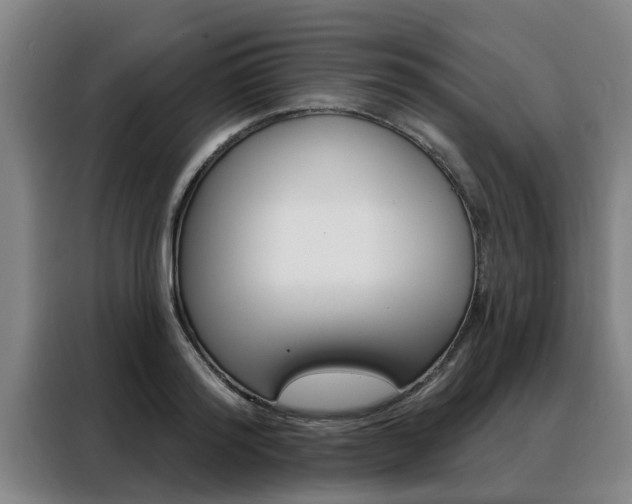 X0000088390796200705220800