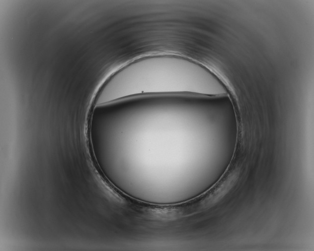 X0000088390797200705220800