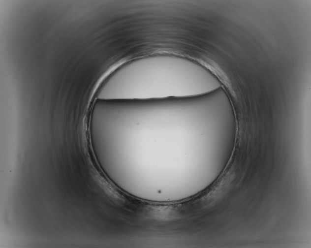 X0000088390798200705220800
