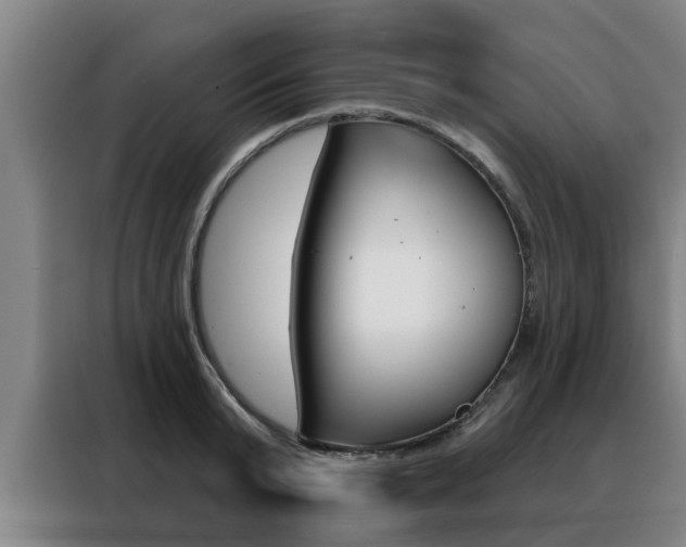 X0000088390799200705220800
