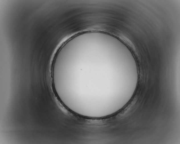 X0000088390800200705220800