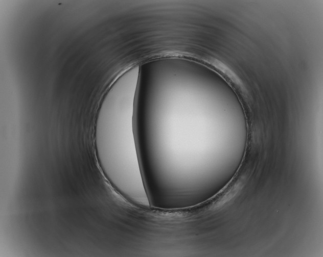 X0000088390801200705220800