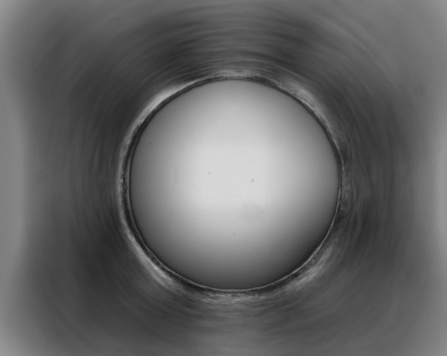 X0000088390803200705220800