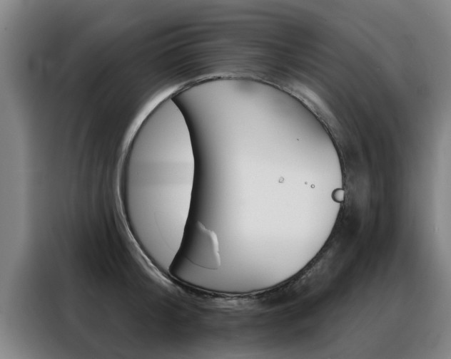 X0000088390804200705220800