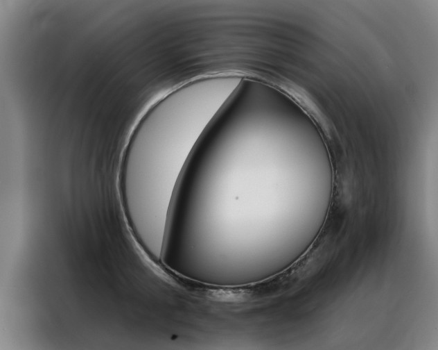 X0000088390805200705220800