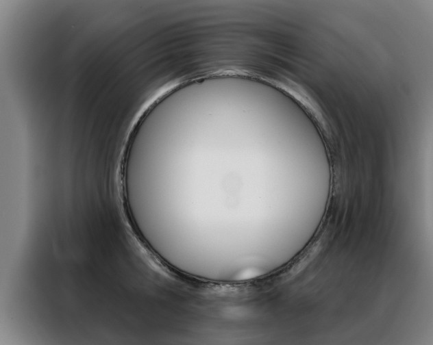 X0000088390806200705220800