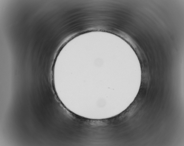 X0000088390807200705220800