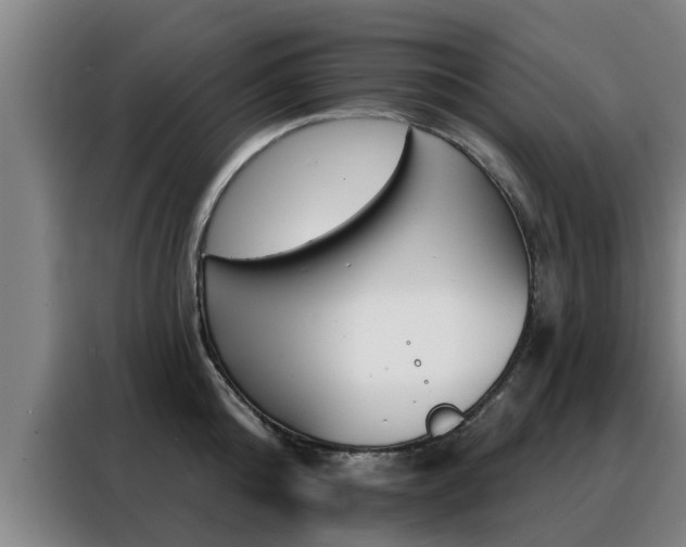 X0000088390808200705220800