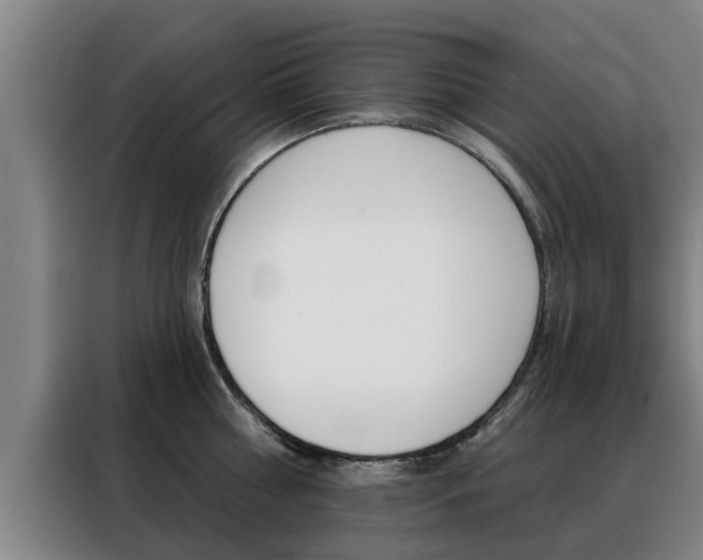 X0000088390810200705220800