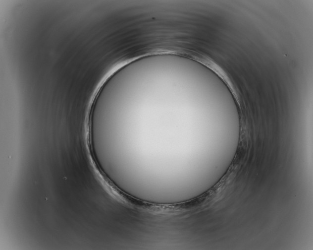 X0000088390811200705220800