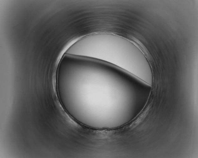 X0000088390812200705220800