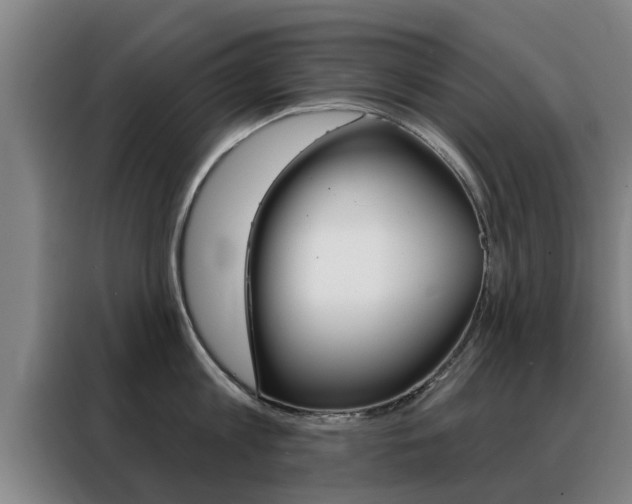 X0000088390813200705220800