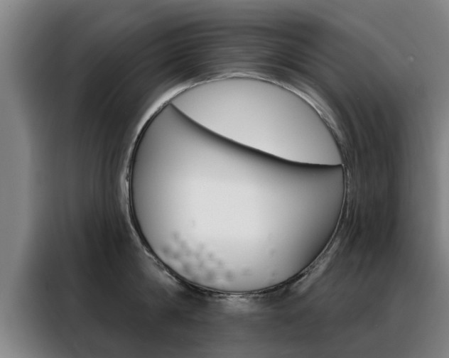X0000088390814200705220800