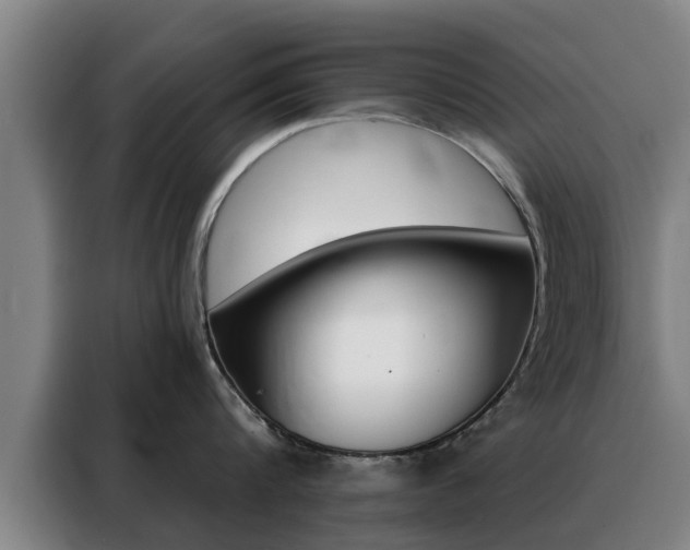 X0000088390816200705220800