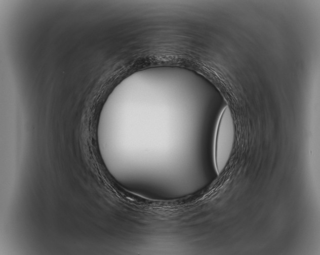 X0000088390817200705220759