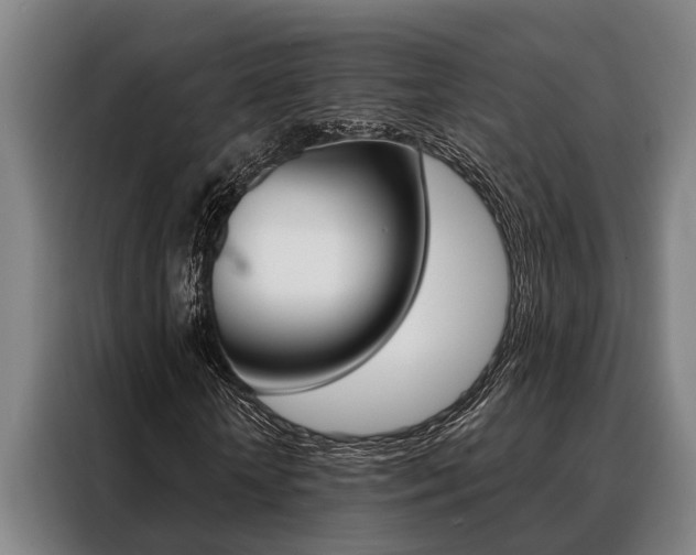 X0000088390818200705220759