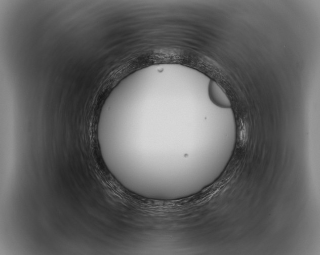 X0000088390819200705220759