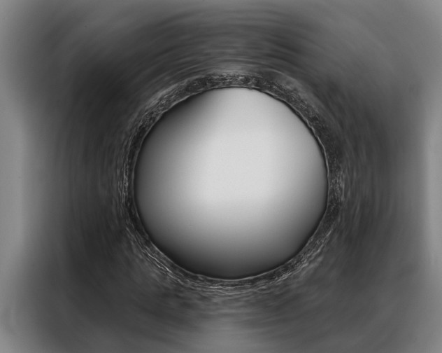 X0000088390821200705220759